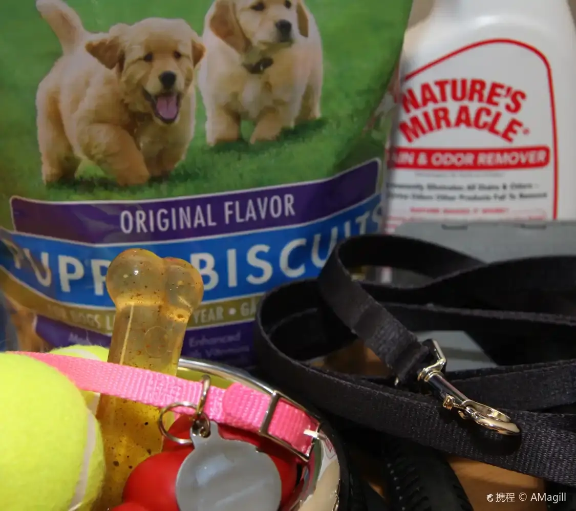 Hotels near Pet Food Express