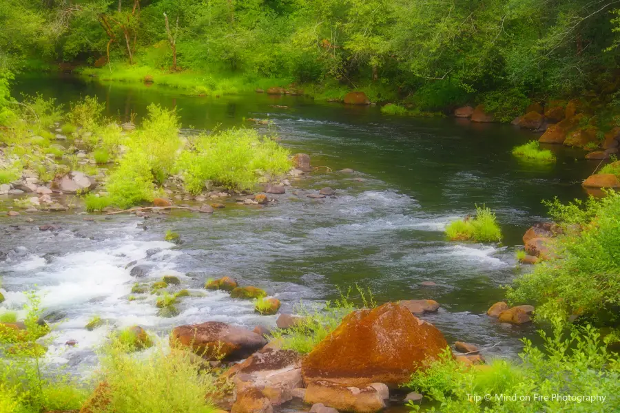 North Fork Middle Fork Willamette River