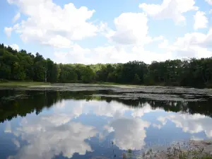 Lamping Homestead Recreation Area