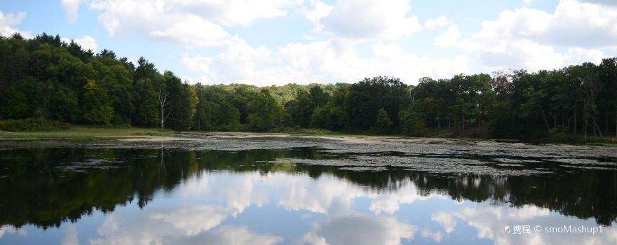 Monroe County