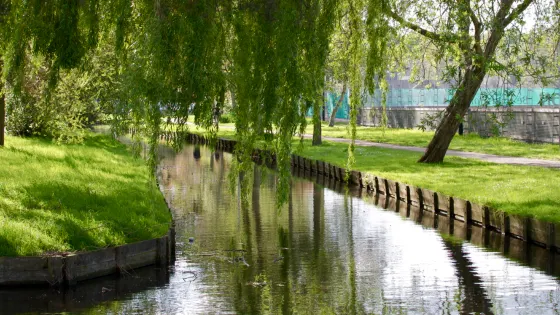 Lake Forest Open Lands Association