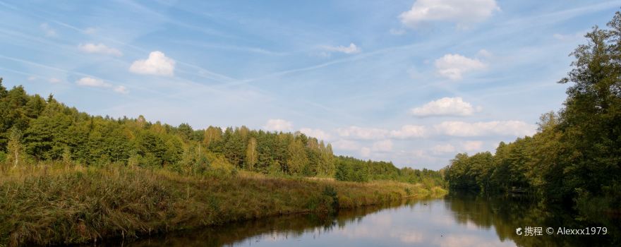 Gmina Płaska