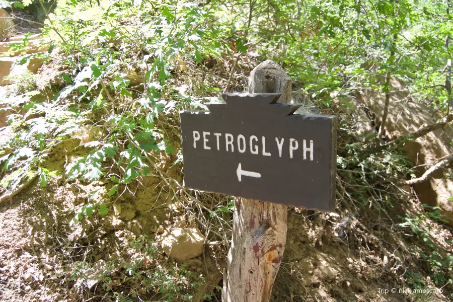 Petroglyph Point Hike