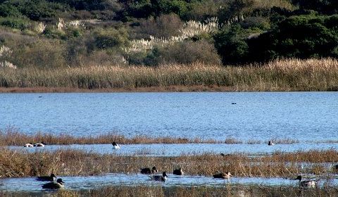 Batiquitos Lagoon