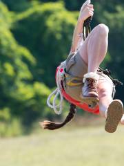 The Hummingbird Zipline Course