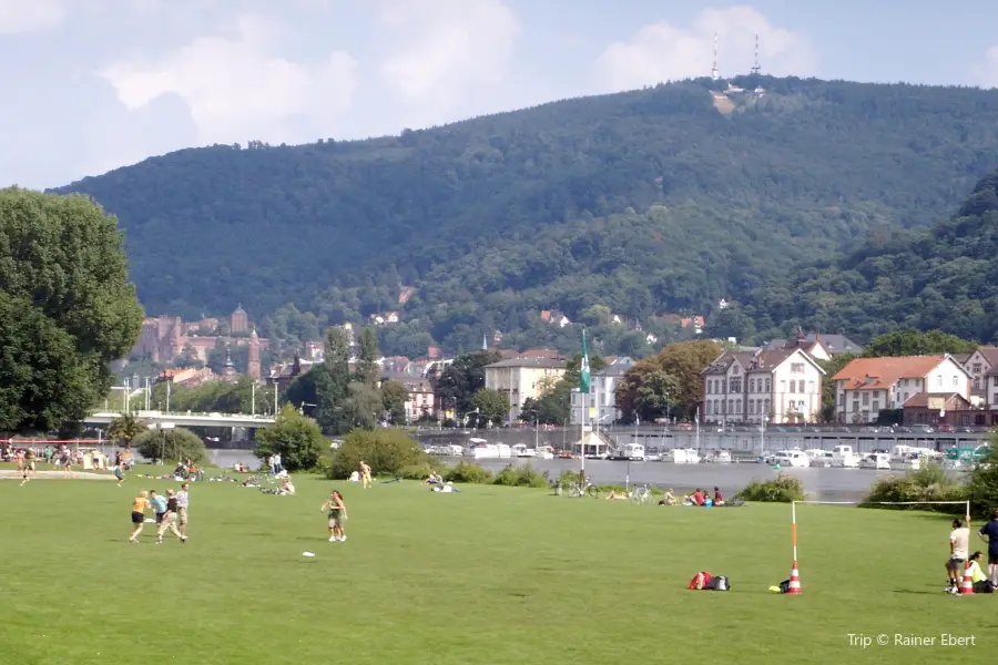 Neckarwiese Heidelberg