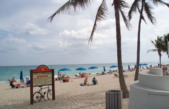 美國邁阿密+勞德代爾堡海灘一日遊【雄獅野生動物王國+棕櫚灘】