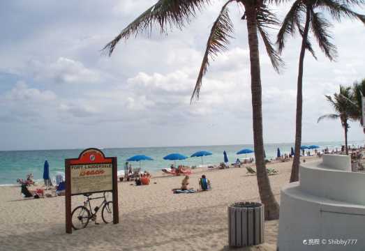 Miami + Fort Lauderdale Beach Day Tour [Lion Country Safari + Palm Beach]