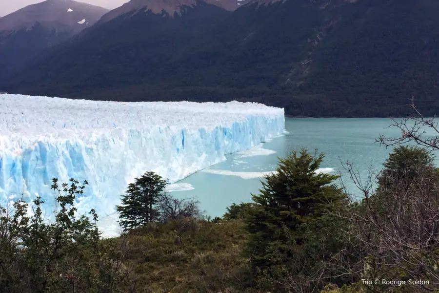 Glaciar Sur Pioneros