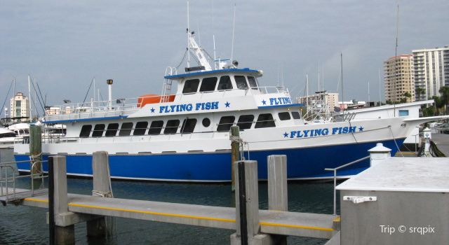 Flying Fish Fleet