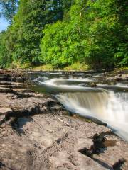 Stainforth Force