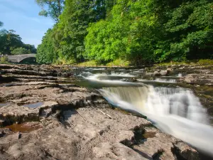 Stainforth Force