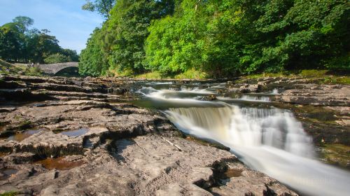 Stainforth Force