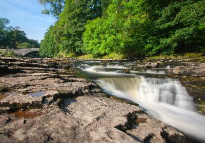 Stainforth Force