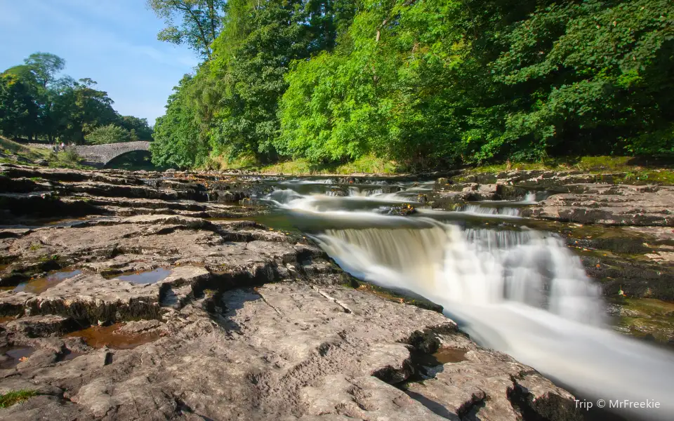 1_Stainforth Force