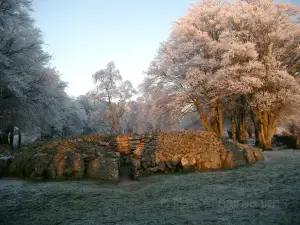 Clava Cairns