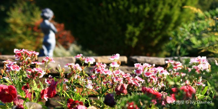 莎拉·杜克花園