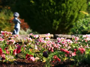 Sarah P. Duke Gardens