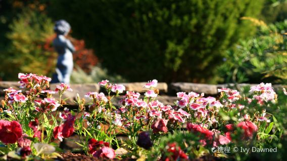 Sarah P. Duke Gardens