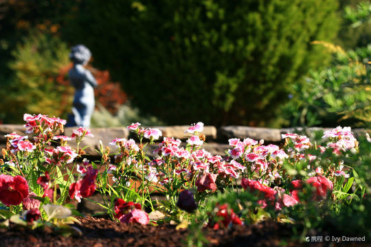 Sarah P. Duke Gardens