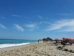 Haulover Park
