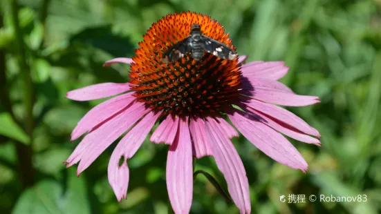 Botanica: The Wichita Gardens