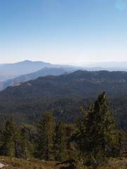 Palomar Mountain State Park