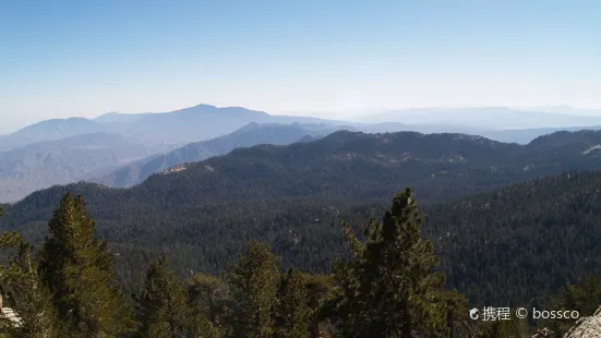 Palomar Mountain State Park