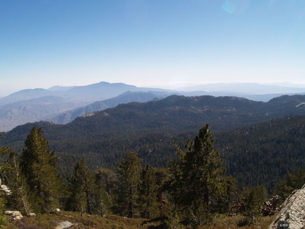 Palomar Mountain State Park