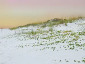 Grayton Beach State Park