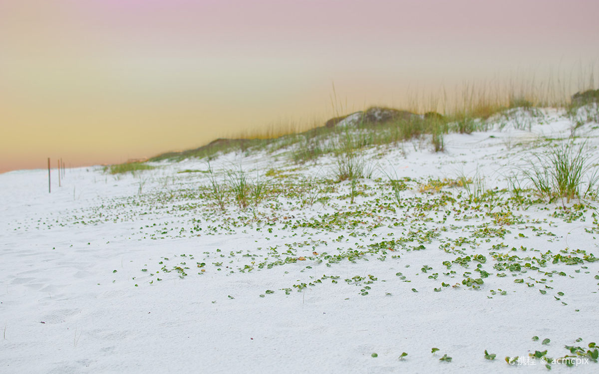 Grayton Beach State Park