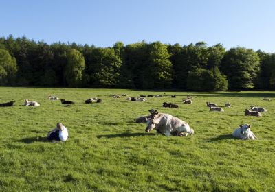 Harewood House Trust