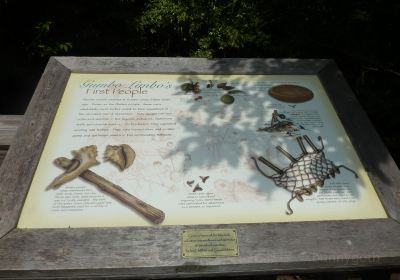 Gumbo Limbo Nature Center