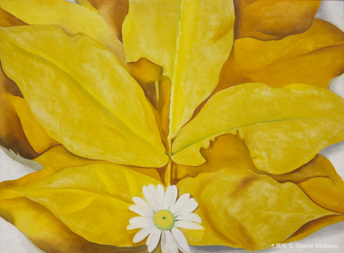 Georgia O'Keeffe Museum