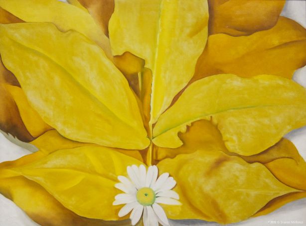Georgia O'Keeffe Museum