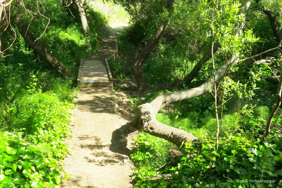 Glen Canyon Park