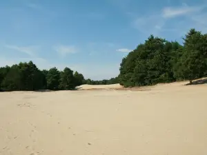 Desert of Maine