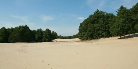 Desert of Maine