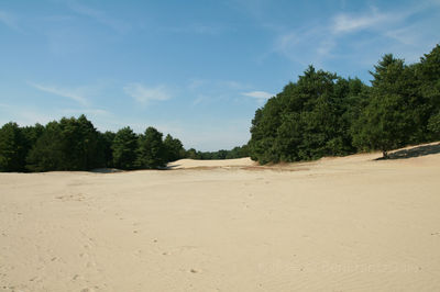 Desert of Maine