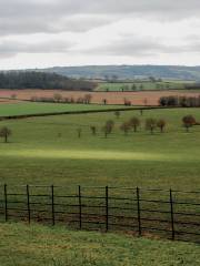 National Trust - Killerton