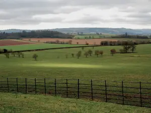 National Trust - Killerton