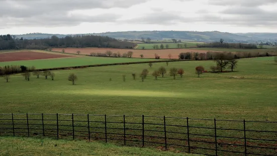 National Trust - Killerton