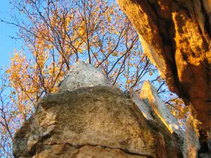 Catoctin Mountain Park