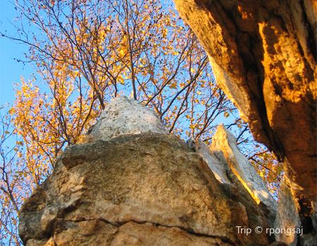 Catoctin Mountain Park
