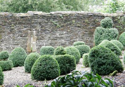 National Trust - Buckland Abbey