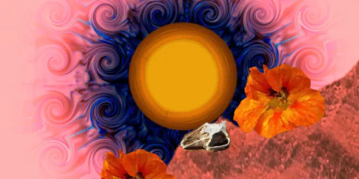 Oceanside Museum of Art