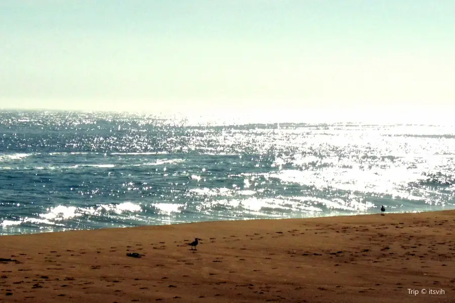 Playa Las Salinas