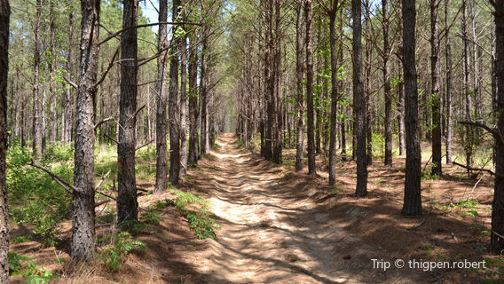 Anthracite Outdoor Adventure Area