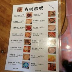 Gushu Yogurt User Photo