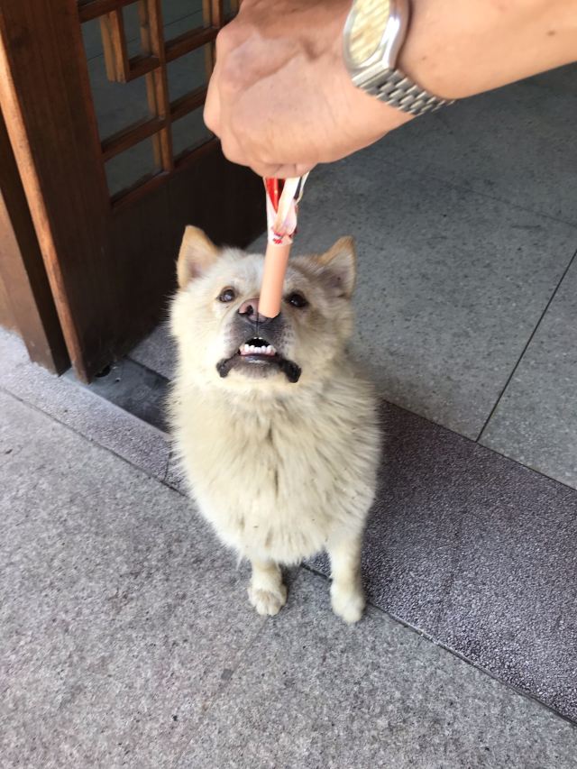 九咆界風景區